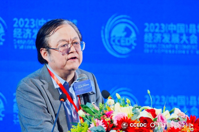 魏加宁：发展县域经济需要重视三大问题