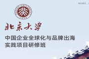 北京大学中国企业全球化与品牌出海实践项目