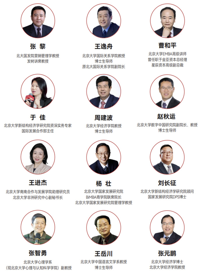 北大战略班师资2