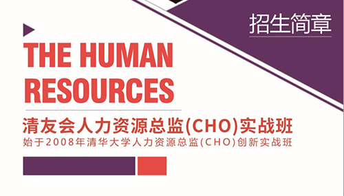 人力资源总监(CHO)实战研修班-源自清华
