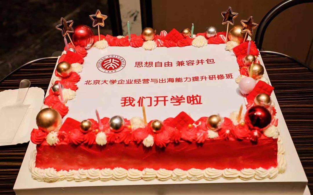 北京大学企业经营与出海能力提升研修班